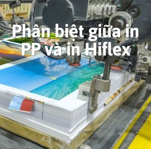 Phân biệt giữa in PP và in Hiflex