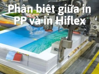 Phân biệt giữa in PP và in Hiflex