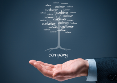 hồ sơ nhân lực công ty